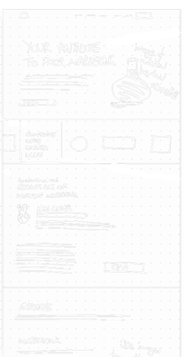 ws-wireframe-1